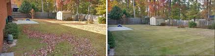 But the countries in the region are getting tough on crime. Yard Cleanup Services In Martinez Ga Quickcall Services