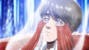 Attack On Titan Casts Piccolo Portgas Ace Voice Actor They branched off from the original royal family after the great titan war, masqueraded as a minor noble family living inside northern wall sheena. attack on titan casts piccolo portgas