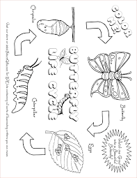 Life cycle of a frog coloring page | free printable coloring pages. Free Butterfly Coloring Pages Butterfly Life Cycle