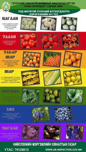 Zhims Nogoo Bүr өngөөrөө Davuu Taltaj Diet And Nutrition Chicken Meatballs Healthy Eat The Rainbow