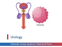 Image result for chlamydia symptoms