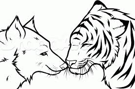 How To Draw A Wolf And Tiger Step By Step Forest Animals Animals Free Online Drawing Tutorial Added By Dawn June 3 Tiger Drawing Tribal Drawings Drawings