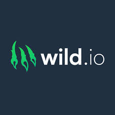 Wild.io Casino Review (2025) - Player Ratings & Our Verdict