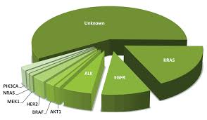 Targeted Therapy For Lung Cancer