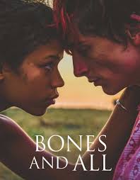 Filmer och serier med Max Soliz