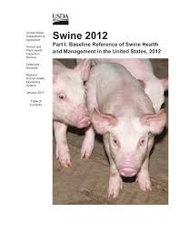 Pdf Swine 2012 Part I Baseline Reference Of Swine Health And Management In The United States 2012 Learn to draw these animals: baseline reference of swine health