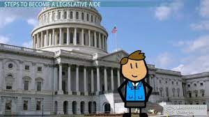 Become A Legislative Aide: Step-By-Step Career Guide