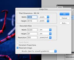 Enter the dimensions for the canvas in the width and height boxes. Image Sizing For Billboards Printing And Prepress Graphic Design Forum