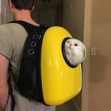 Les modèles sont sécurisés et pratiques. Sac A Dos Transport Chat Astronaute Cadeaux Pour Animaux Avant J Etais Riche