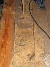 Image result for site:byggahus.se isolering vind ekofiber