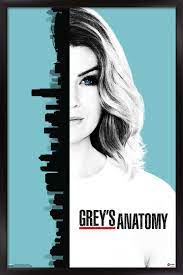 Regardez en streaming grey's anatomy saison 13 épisode 21 gratuit et sans inscription. Grey S Anatomy Season 13 One Sheet Poster Walmart Com In 2021 Greys Anatomy Season Greys Anatomy Anatomy