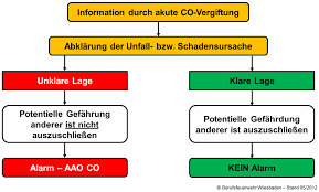 Nov 24, 2018 · behandlung bei vergiftung durch kohlenmonoxid. Http Www Wiesbaden112 De Files Co Studie Bf Wiesbaden Pdf