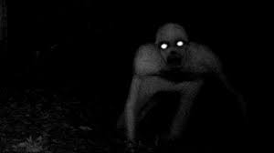 Timpul trece, lasand in urma lui un strigat de regret, o mare durere si un gol imens. JumÄƒtate Om JumÄƒtate Caine CreaturÄƒ BizarÄƒ Pe AutostradÄƒ In Miez De Noapte Localnicii Au RÄƒmas È™ocaÈ›i Animal Zoo