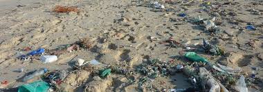 نتیجه جستجوی لغت [litter] در گوگل