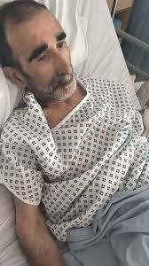 How to get help for cat companion and college expenses?