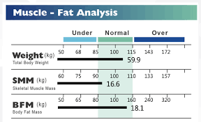 Calculate your body mass index. What Is The Skinny Fat Body Type And How To Fix It Marsden