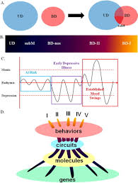 We did not find results for: Distinguishing Between Unipolar Depression And Bipolar Depression Current And Future Clinical And Neuroimaging Perspectives Biological Psychiatry
