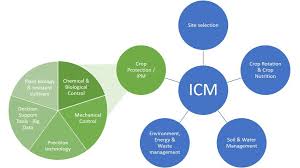 Integrated pest management, defined as an approach in comprehensive meaning by the selection. Ipm And Icm The Unique Opportunities And Challenges For Biopesticides Agribusiness Global