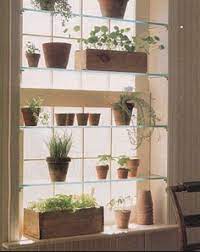 I need to visit her home someday (for obvious reasons) but i'm sharing this picture today because i love this tension rod ( similar to this one or this one) she uses to display her hanging plants. Seed Starter Figurines On Your Window Gerw Ledge Suction Cup Window Shelf 1 Pack Acrylic Plant Window Shelf Transparent Window Shelf For Creating Indoor Plants Garden Wide Version Plant Containers Accessories