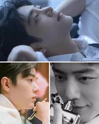 XIAO ZHAN INTERNATIONAL FANS