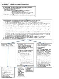 maternity care infant nutrition algorithm ppt download