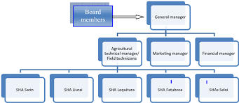 a representative organization chart for cooperative