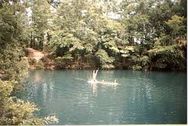 florida sinkholes cave diving and