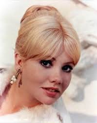 There's someone's chickens out by the kids park at Hamsterley.