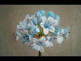 Abc Tv Como Hacer Las Flores De Papel Del Lirio Africano Del Papel Del Crepe Tutorial Del Arte Youtube Paper Flower Video Paper Flowers Paper Flower Kit