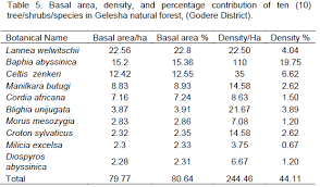 Image result for Argomuellera