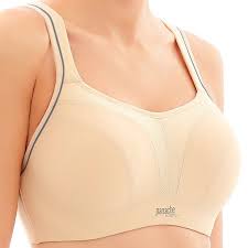 Panache Underwire Sport Bra 5021