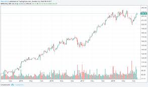 canopy growth constellation brands and irrational