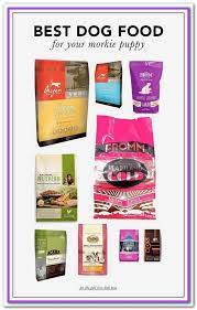 What is the best dog food brand. Best Dog Food Brands Online Shopping