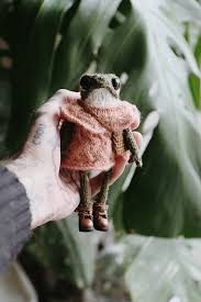 Which is your favorite pic? 🫶🏻🤎