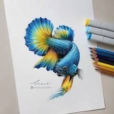 Realistic Wind Animal Drawings Fish Drawings Marker Art Fish Art