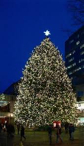 An Urban Cottage Boston Solstice Outdoor Christmas Lights Christmas Ish Christmas Tree Lighting