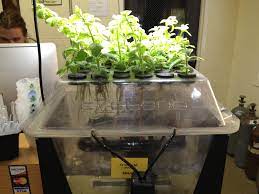 35 sites aeroponic cloner design 14. Taking Clones Methods And Products For Success