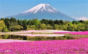 Hij ligt 112 kilometer ten zuidwesten van de japanse hoofdstad tokio en is van daaruit zichtbaar bij helder weer en geringe. Tineke Fieggen Ar Twitter Gevaarlijke Vulkaan Mount Fuji Https T Co 2ixdj7wsgh Mount Fuji Is Niet Alleen De Hoogste Berg In Japan Het Is Ook Een Slapende Vulkaan Voor De Japanners Is Mount Fuji Een