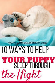 Helping Your Puppy Sleep Through The Night Puppy Sleeping Sleeping Puppies Dog Potty Training Puppy Training