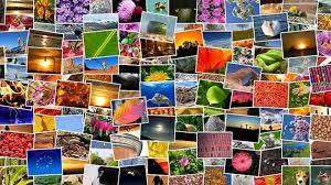 Gallery solutions bilderrahmen collage 24 fotos a 10×15 cm weiss. Collage Selber Machen So Gelingt Es Focus De