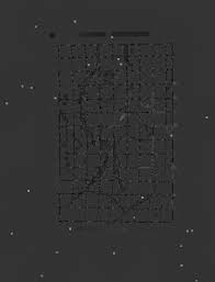 Image result for Anthericopsis sepalosa