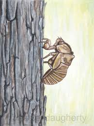 I wanted to classify the speces by its shell image using ai::mxnet library. Cicada Shell Cicada Shell Cicada Shell Drawing