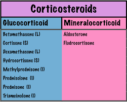 Adrenal Corticosteroids Glucocorticoids Mineralocorticoids Nursing School Supplies Endocrine System Nursing Nursing Mnemonics