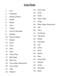 Cow Parts Answer Key Ag Education Dairy Cows Ffa