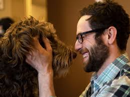 If you die alone and unloved, will your pet eat you? A National Post  investigation