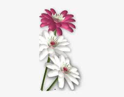 Your favorite blooms — from roses and peonies to lilies and daisies — send specific messages that you need to know. Flowers Png Thinking About You Messages Png Image Transparent Png Free Download On Seekpng