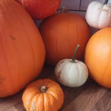 What do you do with pumpkins after halloween? Pumpkin Gut Bread Recipe Marvellous Mrs P Lifestyle Vintage Family Blog