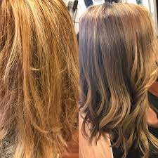 Elysian Salon Color Studio Hobe Sound Fl 772 546 0102 Organic Hair Color Organic Hair Healthy Hair