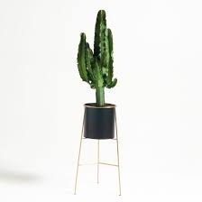Aproveite as fantásticas promoções na nova coleção! Jardin Interieur Turbulences Deco