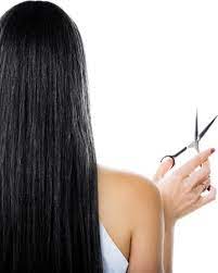 Website directions services more info. Cannella School Of Hair Design Blue Island Overview Plexuss Com